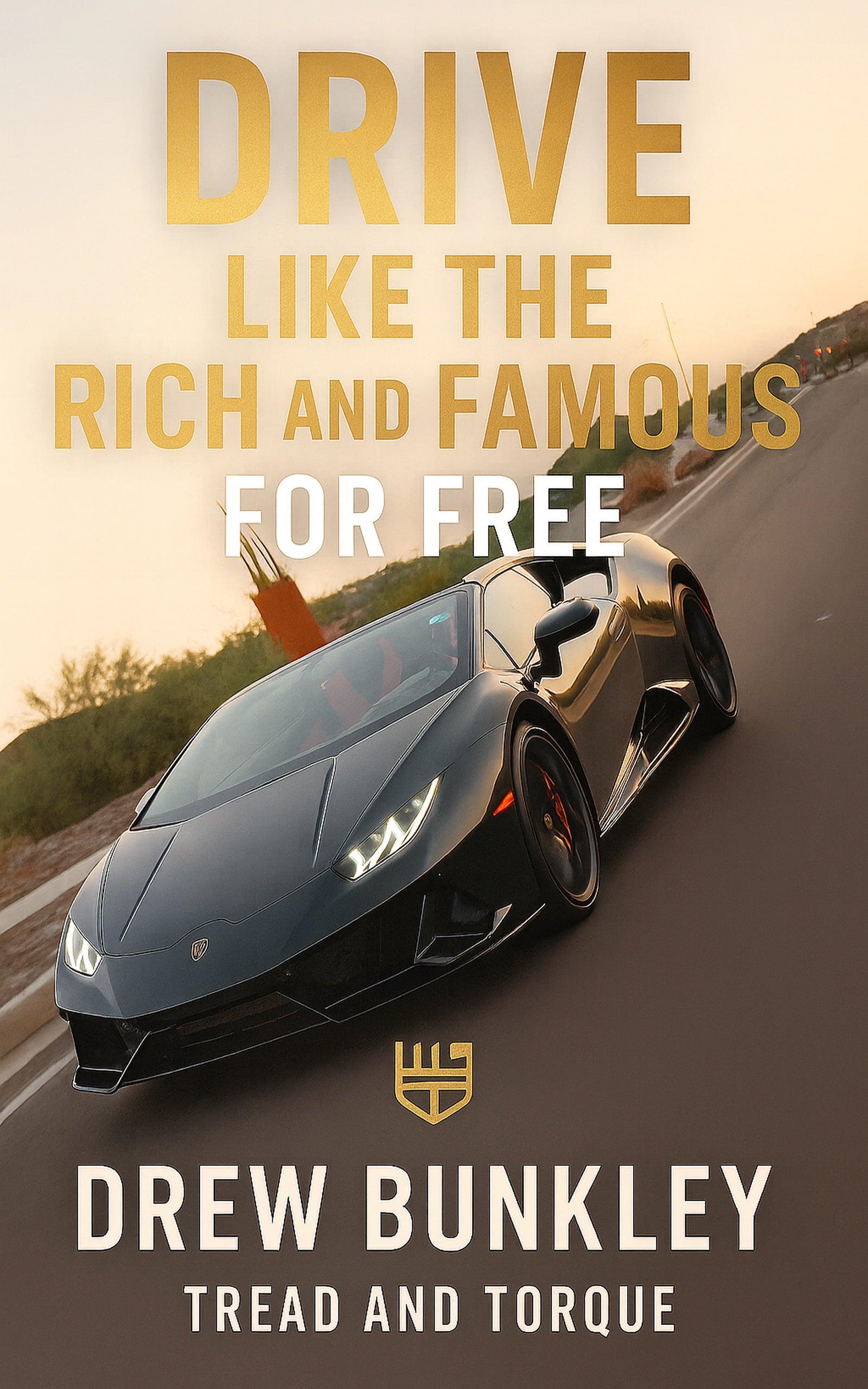Drive Like The Rich And Famous For Free - Book